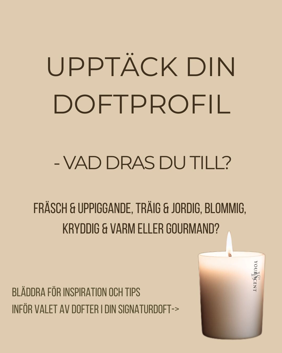Hitta din doft